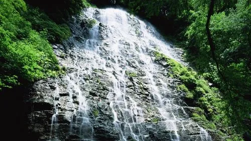 高效智能系统智能